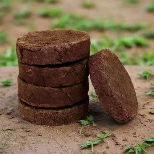 Stack of sun-dried cow dung cakes ready for packaging