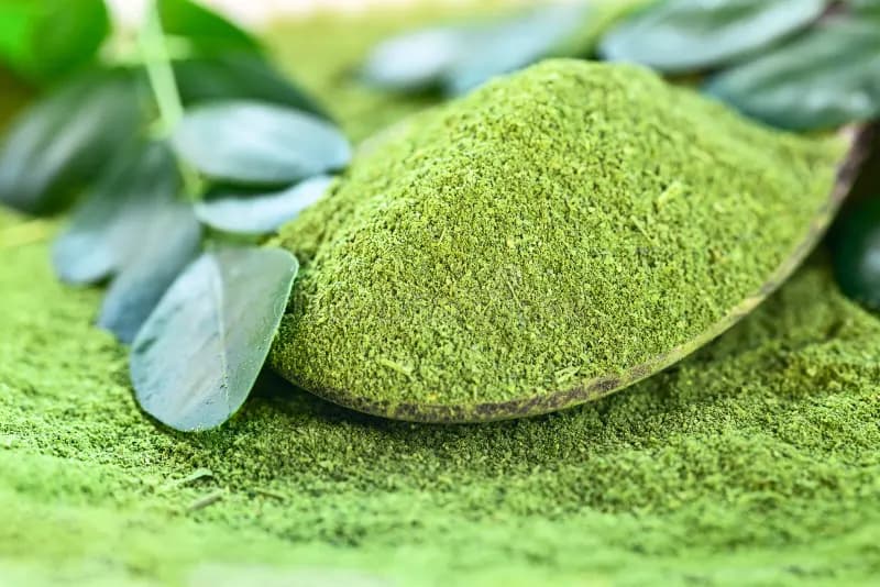 Fine green moringa powder showing smooth texture